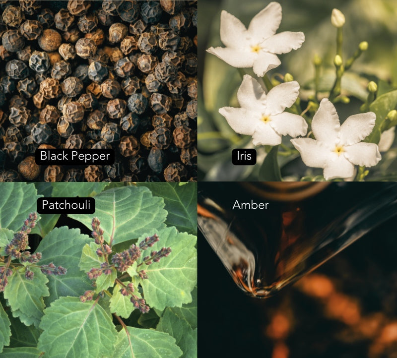 Scent composition collage for Intense Silence candle showing black pepper, amber resin, iris and patchouli leaves.